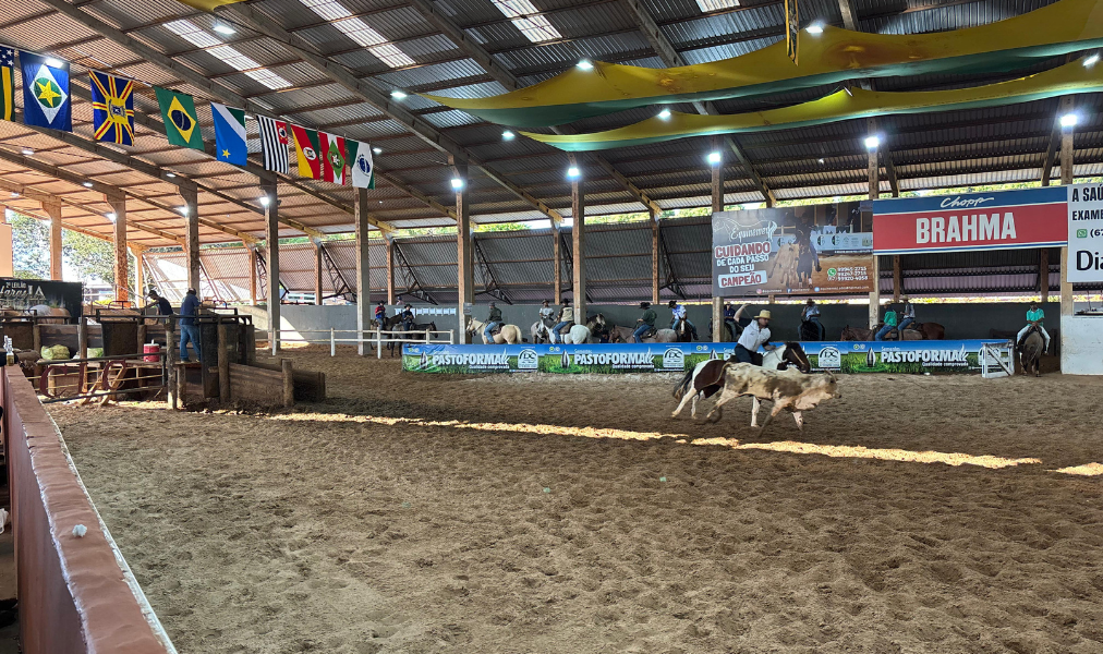Laçadores em ação durante etapa do Laço Comprido no CLC em Campo Grande