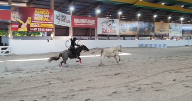 Laçadores competindo durante etapa do laço comprido no CLC, com arena e público ao fundo.