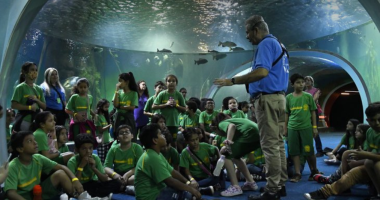 Bioparque Pantanal em Campo Grande com tanques e visitantes observando espécies.
