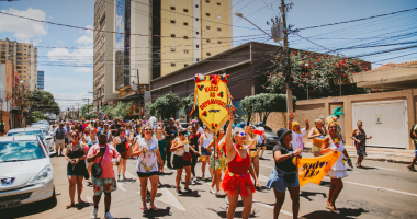 Imagem aleatória, dos foliões no carvanal em Campo grande