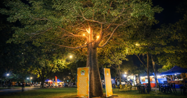 Feira Baobá movimenta a Praça Brasilina de Aguiar com música, expositores e clima de Carnaval.