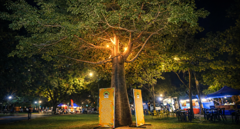 Feira Baobá movimenta a Praça Brasilina de Aguiar com música, expositores e clima de Carnaval.