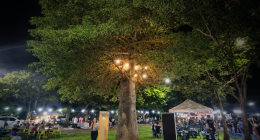 Feira cultural ao ar livre com barracas de comida, artesanato e roda de samba celebrando o Mês das Mulheres
