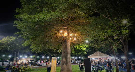 Feira cultural ao ar livre com barracas de comida, artesanato e roda de samba celebrando o Mês das Mulheres