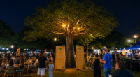 Visitantes circulam entre o Baobá na Feira do Baobá durante evento comunitário em Campo Grande.