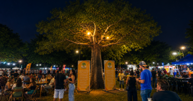 Visitantes circulam entre o Baobá na Feira do Baobá durante evento comunitário em Campo Grande.