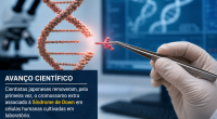Pesquisador utiliza técnica de edição genética em DNA durante estudo que removeu o cromossomo extra associado à Síndrome de Down em células humanas cultivadas em laboratório.