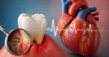 Ilustração mostra um dente em primeiro plano e um coração humano ao fundo, representando a relação entre saúde bucal e doenças cardiovasculares.