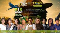 Mesa Ao Vivo Mato Grosso do Sul reúne chefs e profissionais da gastronomia no Centro de Convenções Rubens Gil de Camillo, em Campo Grande.