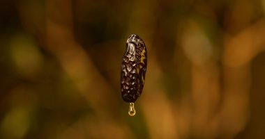 Produtos Natura Ekos Baunilha Amazônica inspirados na tendência Dark Vanilla.