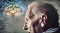 Pessoas idosas em atividade de convivência e estímulo para manter corpo e cérebro ativos.