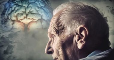 Pessoas idosas em atividade de convivência e estímulo para manter corpo e cérebro ativos.