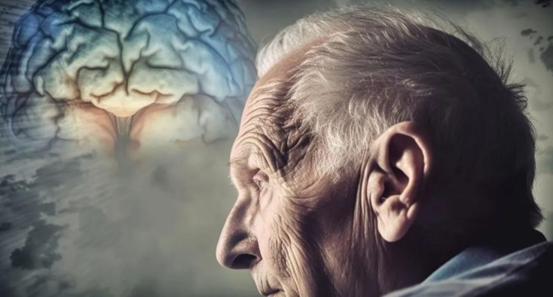 Pessoas idosas em atividade de convivência e estímulo para manter corpo e cérebro ativos.